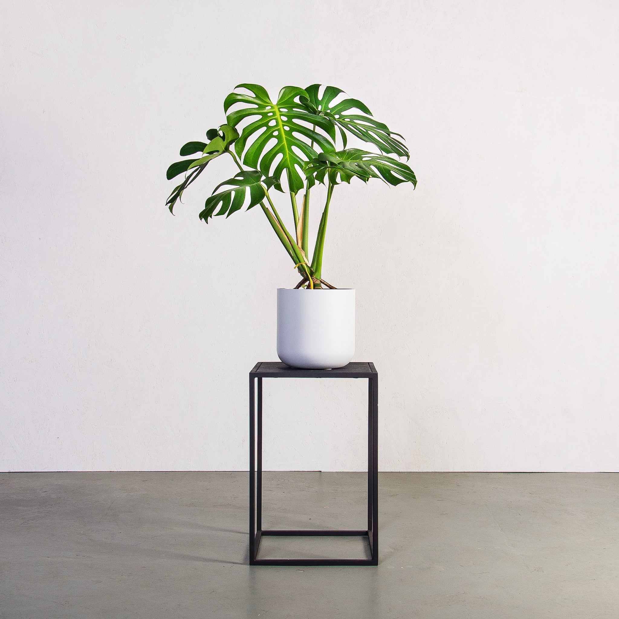 Planters_Indoor_White
