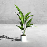 Planters_Indoor_Outdoor_Round_White