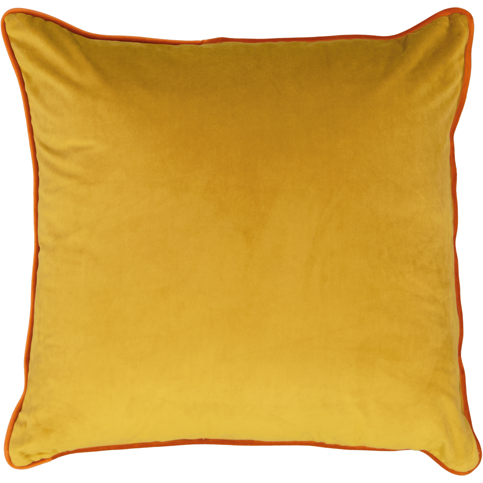 Velvet Scatter Cushions with Contrast Piping