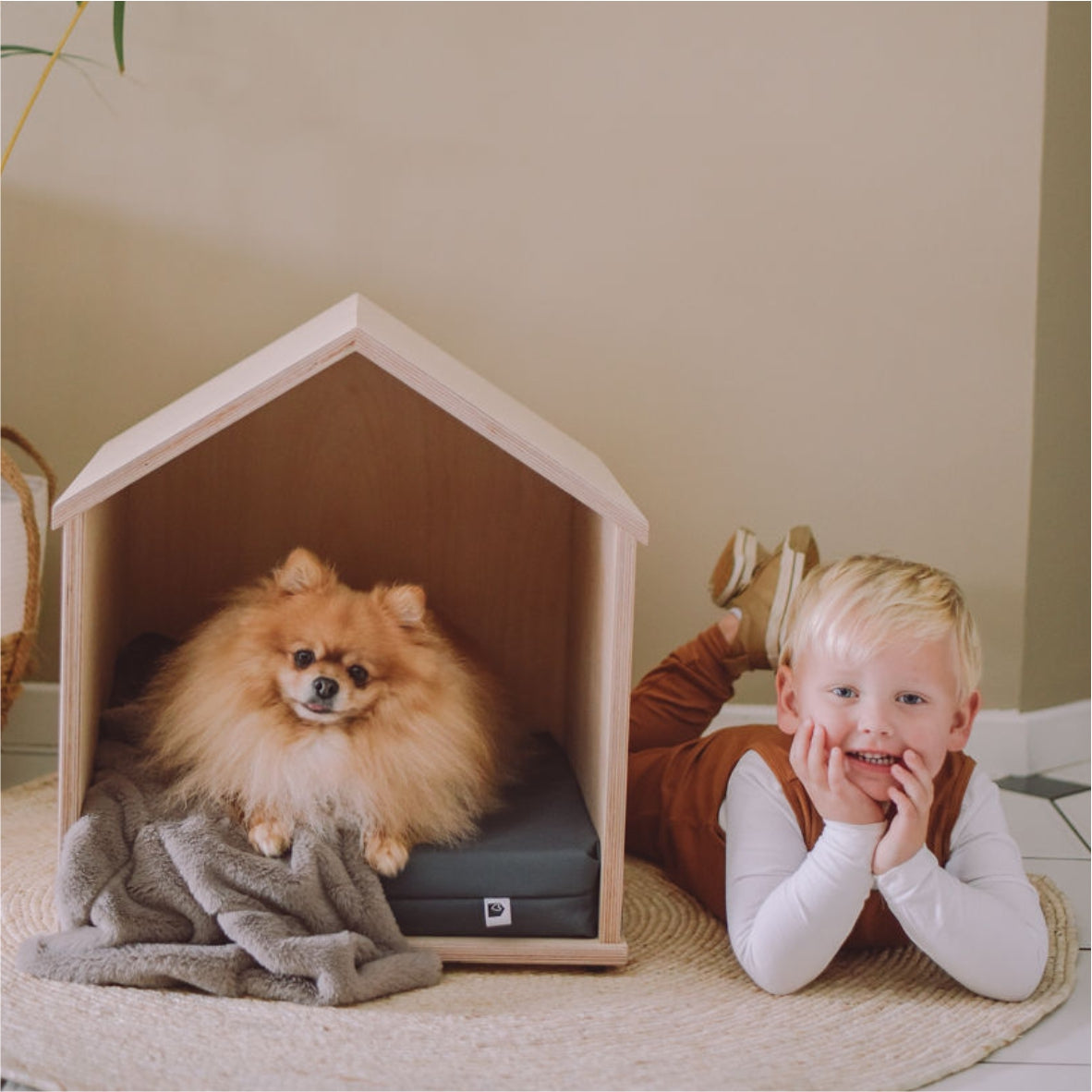 Pets_Furrykids_Doghouse_Cathouse