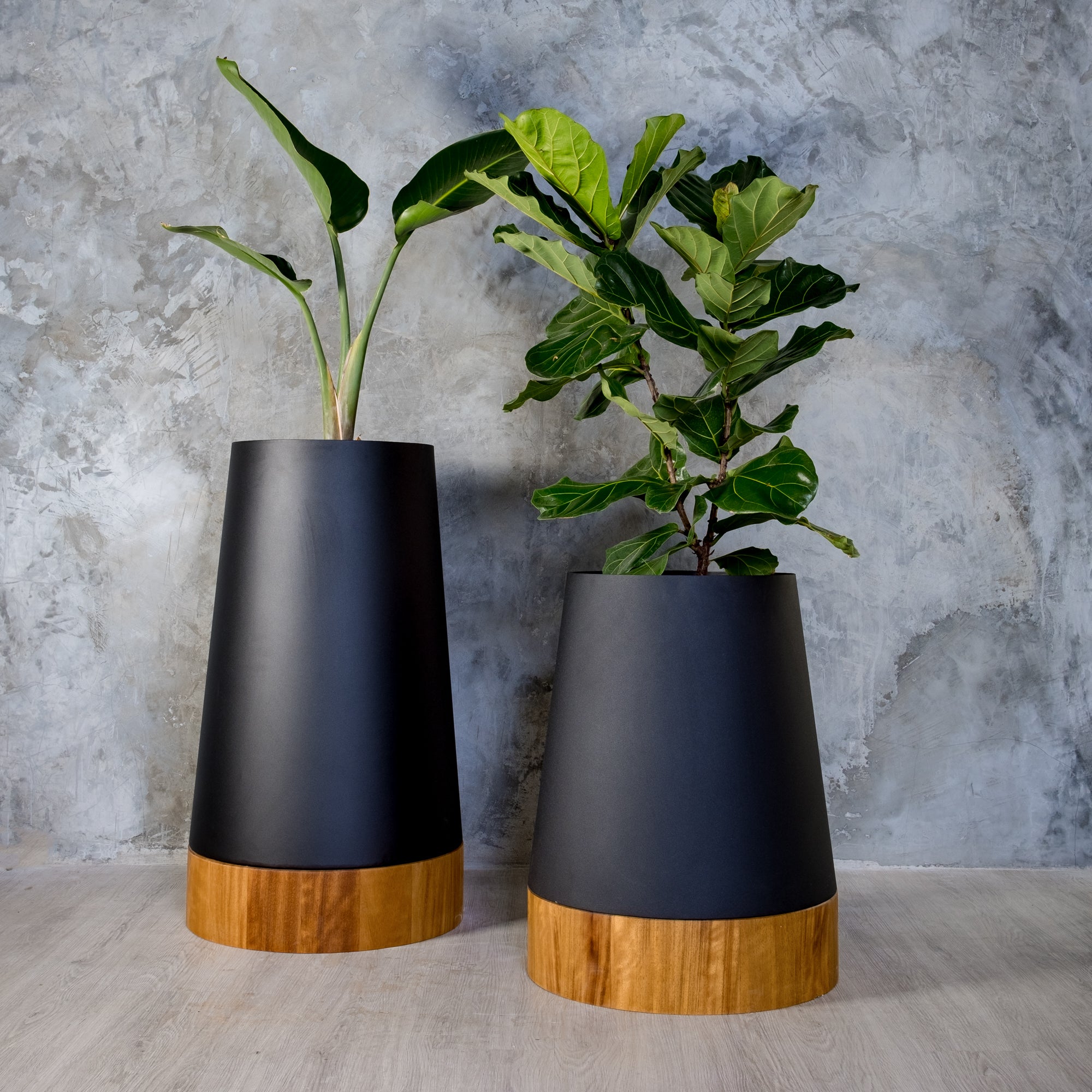 Planters_Indoor_Outdoor_Black_Iroko