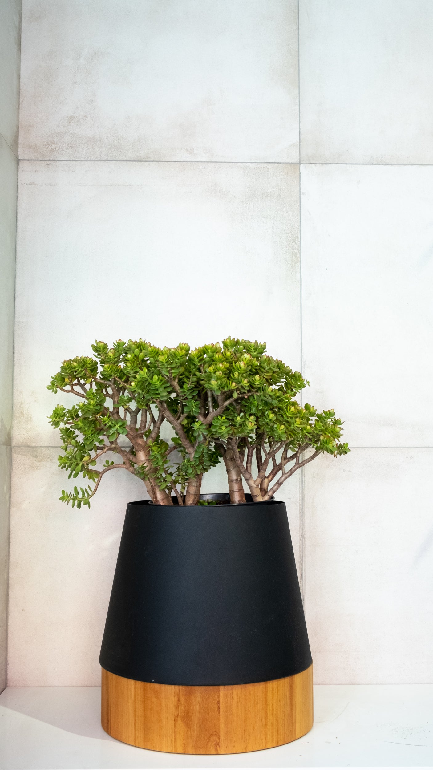 Planters_Indoor_Outdoor_Black_Whiite
