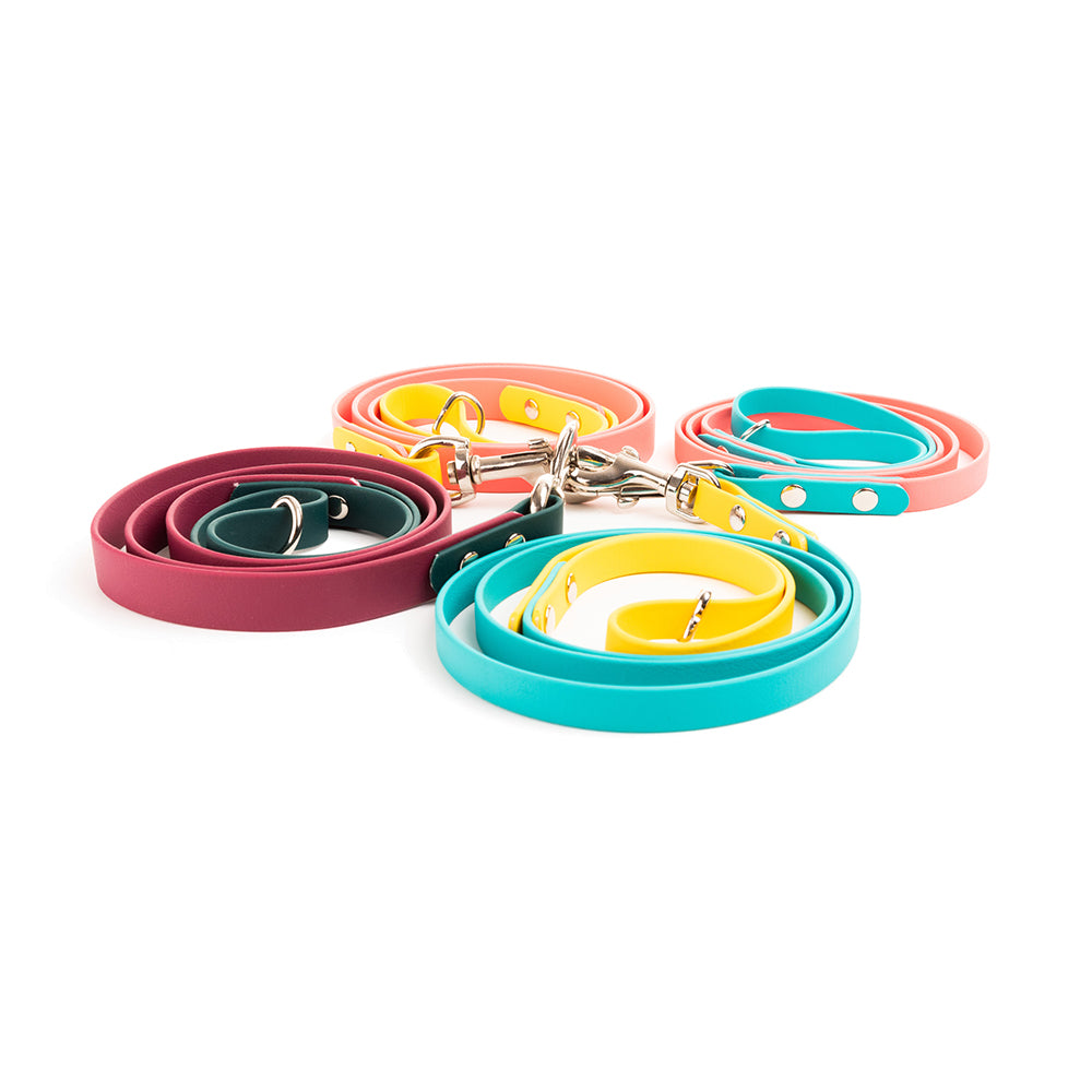 Custom Colour Vegan Dog Leads