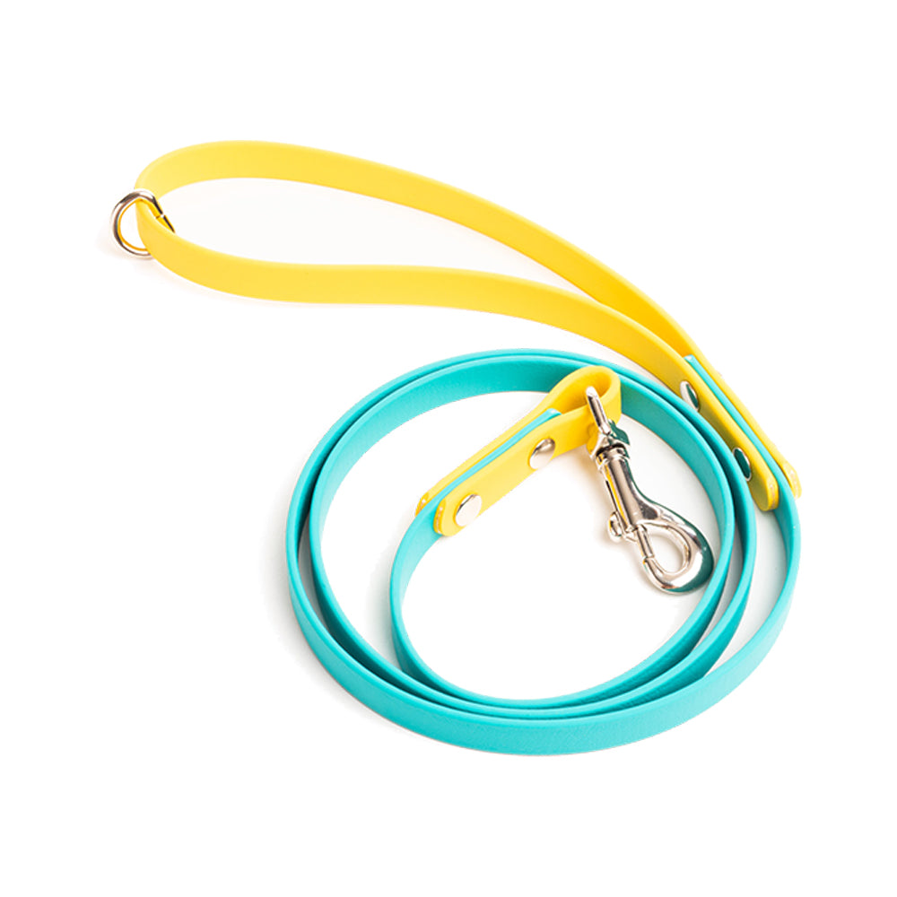 Custom Colour Vegan Dog Leads