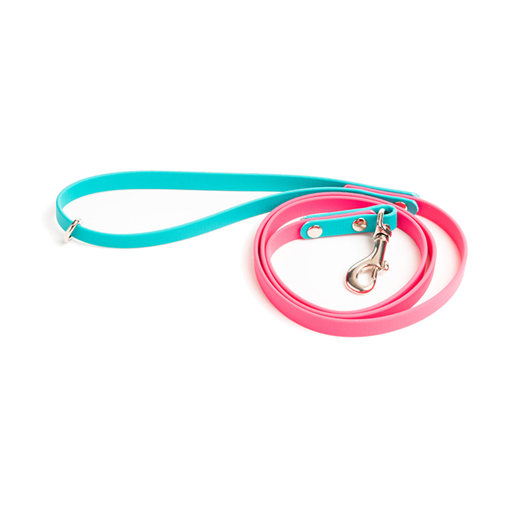 Custom Colour Vegan Dog Leads