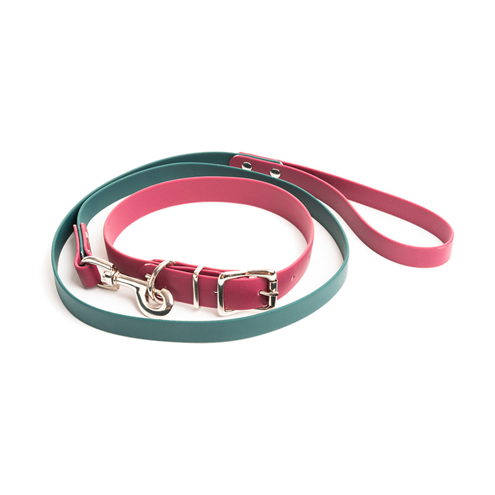 Custom Colour Vegan Dog Leads