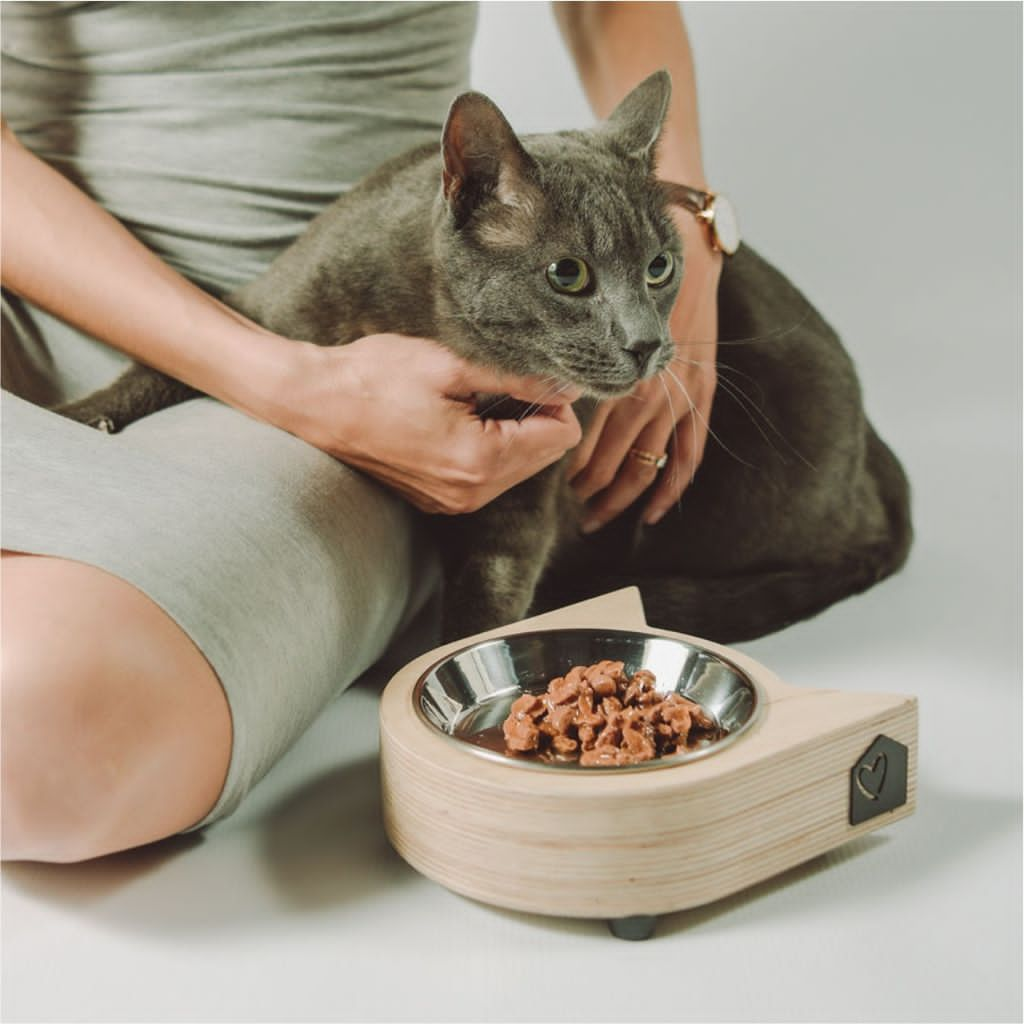 Pets_Furrykids_Cats_Bowl