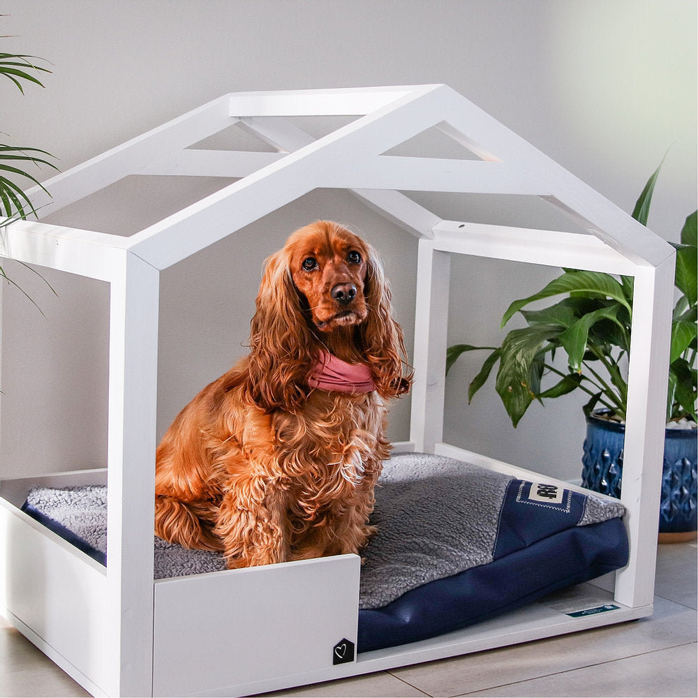 Pets_Furrykids_Dogs_Dogbed_Doghouse