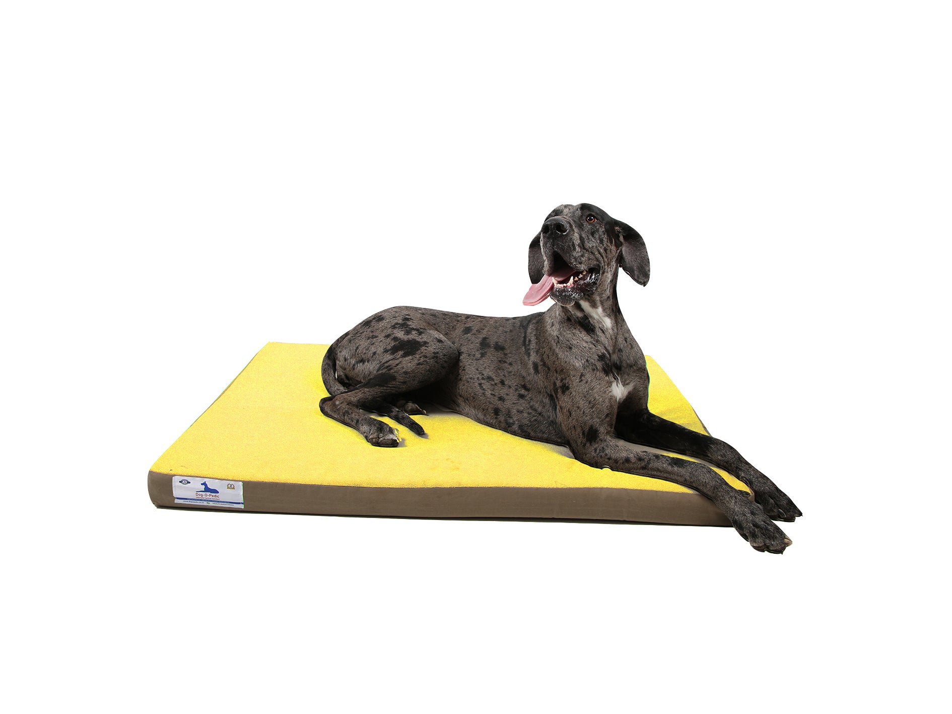 Orthopedic Memory Foam Mattress