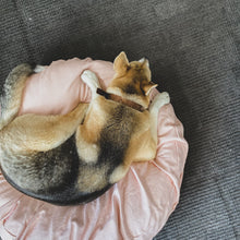 Recycled Cloud Pet Cushion