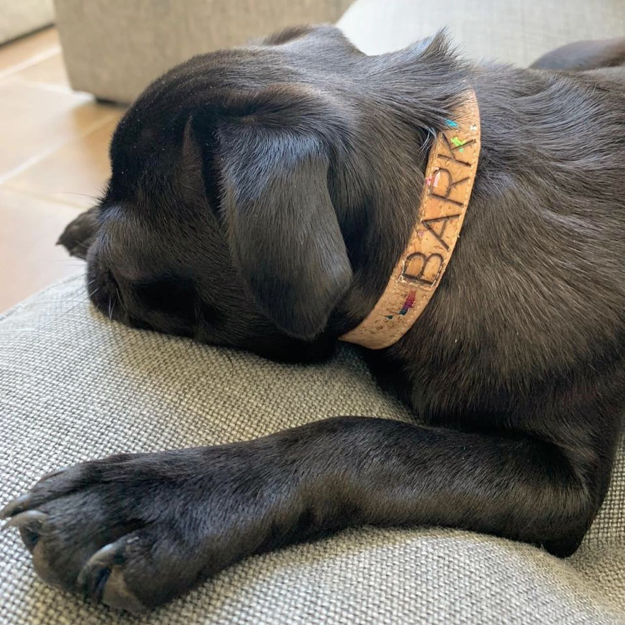 Rainbows & Unicorn Cork Dog Collar