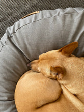 Recycled Cloud Pet Cushion