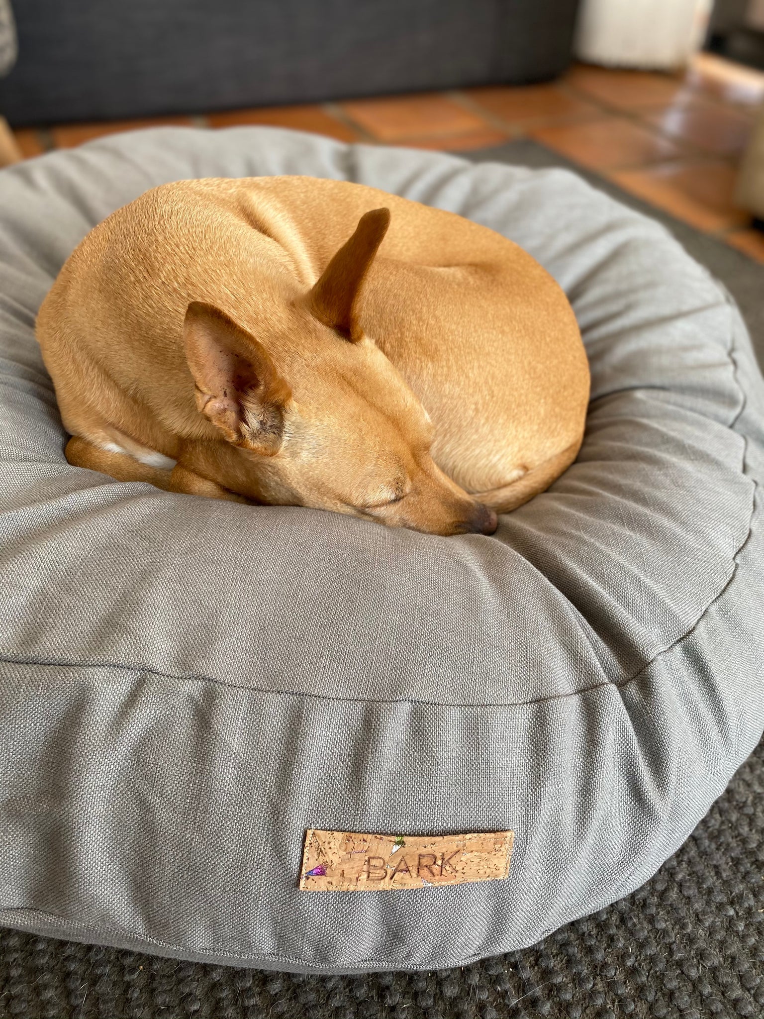 Recycled Cloud Pet Cushion