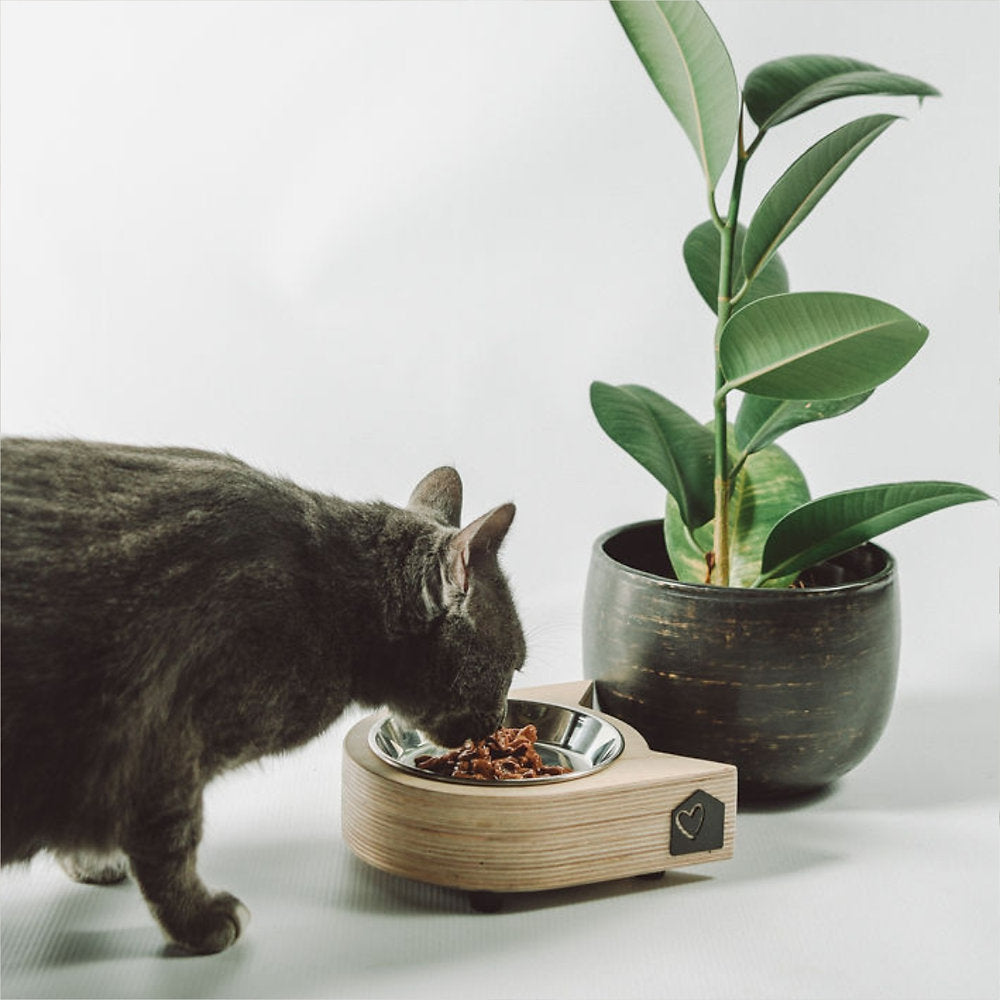 Pets_Furrykids_Cats_Bowl