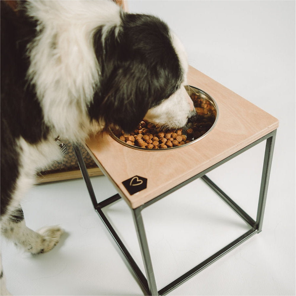 Pets_Furrykids_Dogs_Bowls_Raised