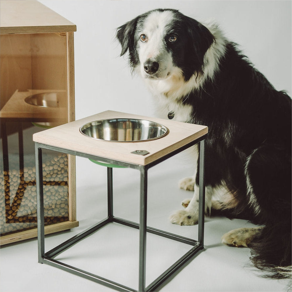 Pets_Furrykids_Dogs_Bowls_Raised